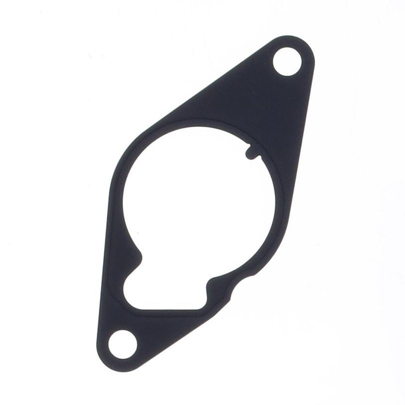Vacuum Pump Gasket
