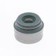 Valve Stem Seal