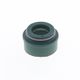 Valve Stem Seal