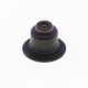 Valve Stem Seal