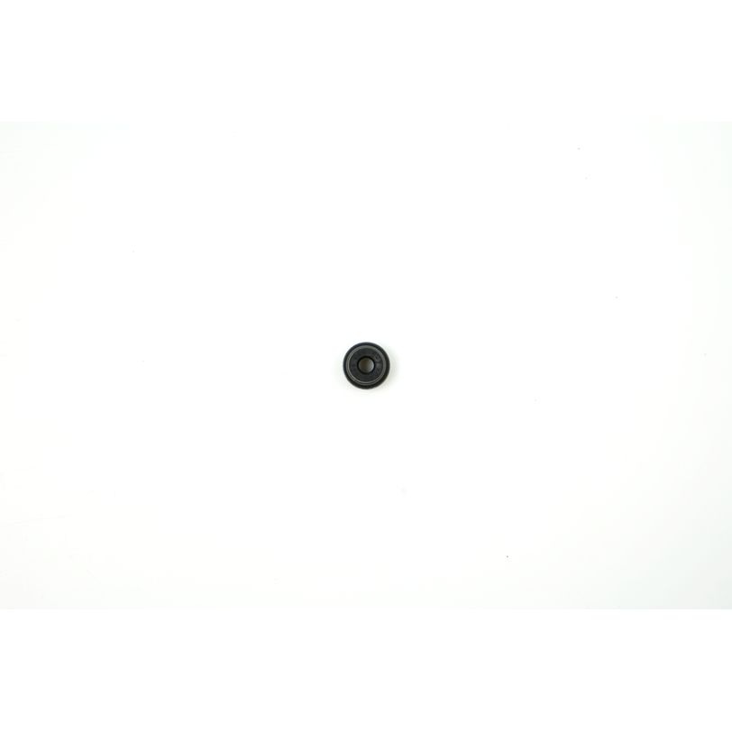 Valve Stem Seal