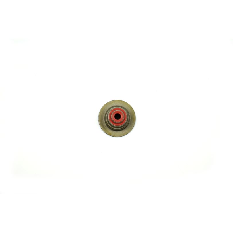 Valve Stem Seal