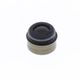 Valve Stem Seal