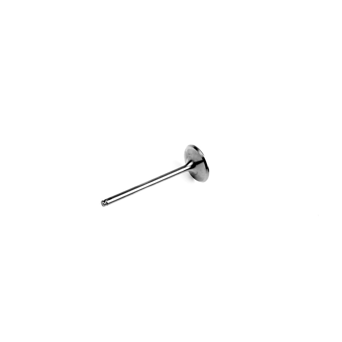 Kirchhoff 98683800 Universal Rinsing Intake Valve