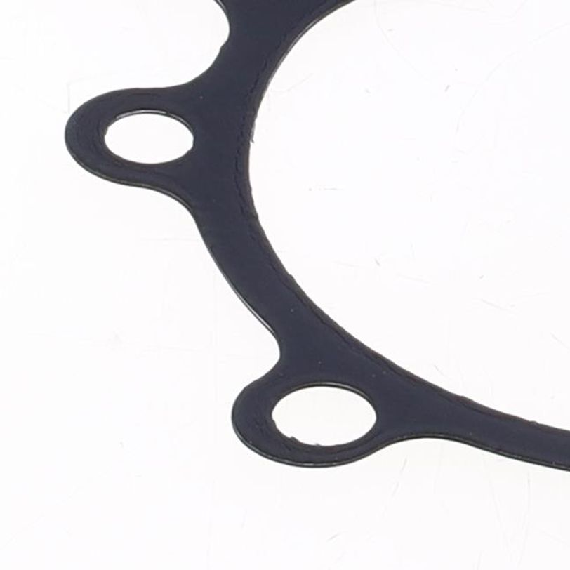 Water Pump Cover Gasket