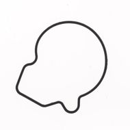 Water Pump Cover Gasket