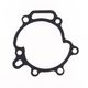 Water Pump Cover Gasket