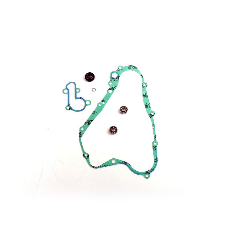 Water Pump Gasket Kit