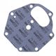 Water Pump Gasket