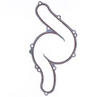 Water Pump Gasket