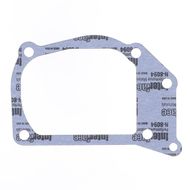 Water Pump Gasket