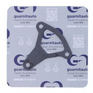 Water Pump Gasket