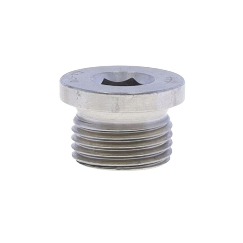 Zinc plated steel magnetic screw plug
